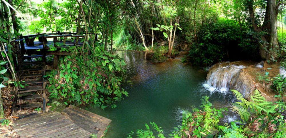 Rabeang Pasak Treehouse Resort Čiang Mai Exteriér fotografie