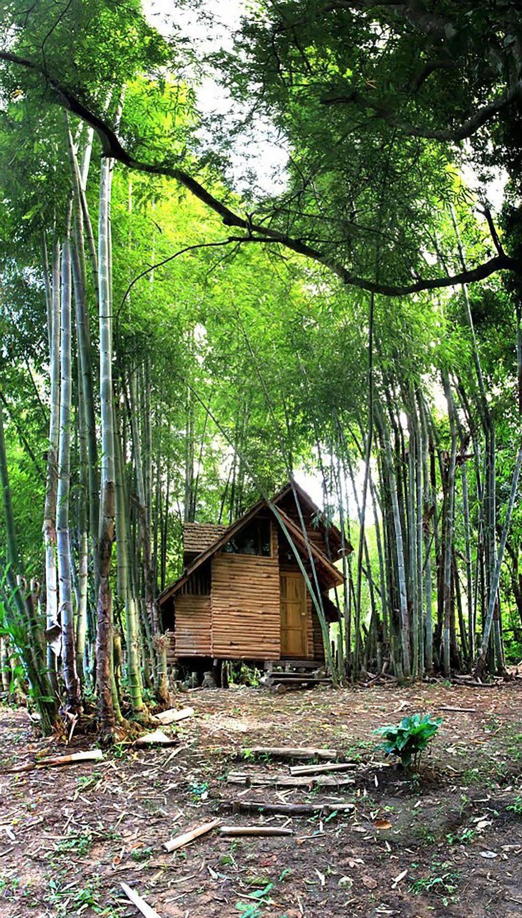 Rabeang Pasak Treehouse Resort Čiang Mai Exteriér fotografie