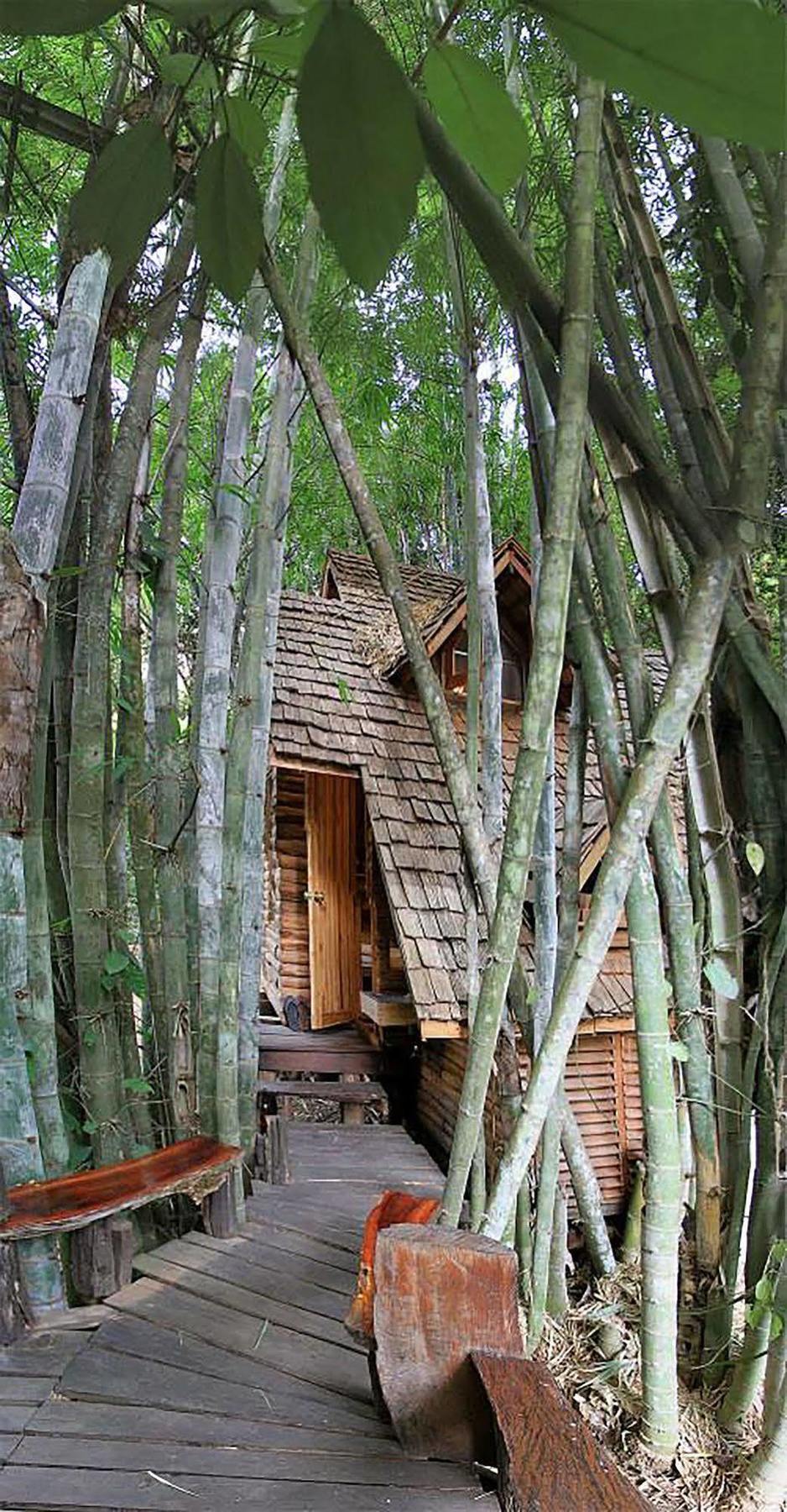Rabeang Pasak Treehouse Resort Čiang Mai Exteriér fotografie